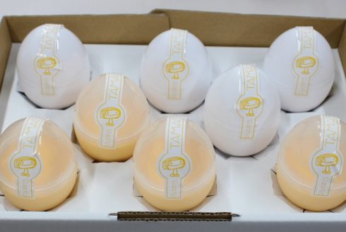 たまごプリンセット（8個入）